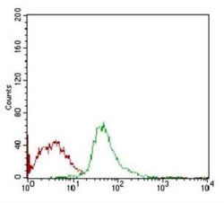SCP3/SYCP3 Antibody (6F9C5) - Azide and BSA Free, Novus Biologicals 0.1